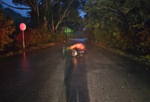 Se chocó contra una vaca